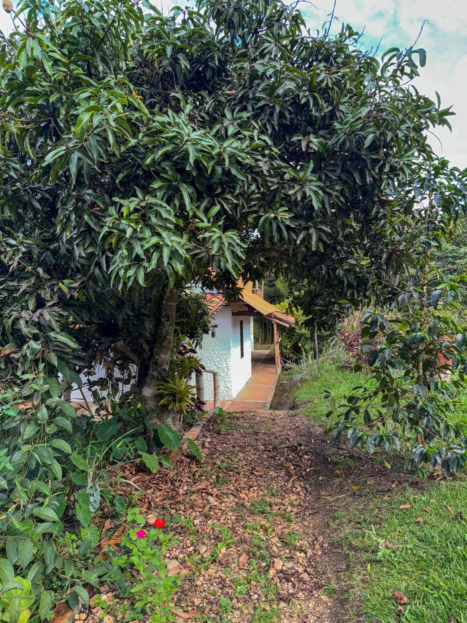 Hostal Pachamama San Agustín المظهر الخارجي الصورة