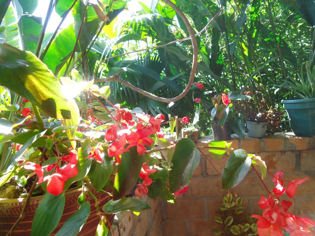 Hostal Pachamama San Agustín المظهر الخارجي الصورة