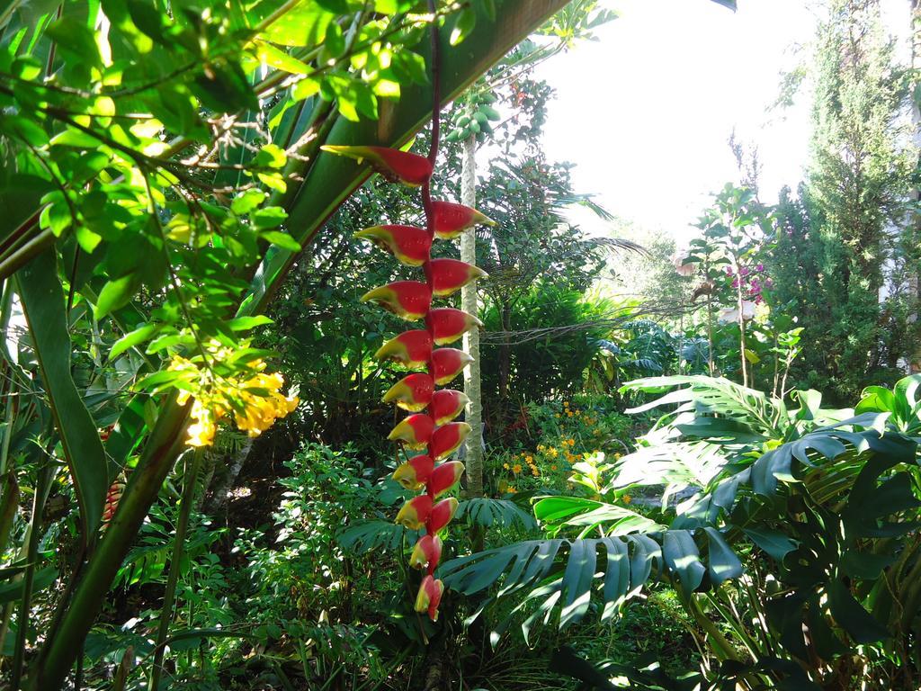 Hostal Pachamama San Agustín المظهر الخارجي الصورة