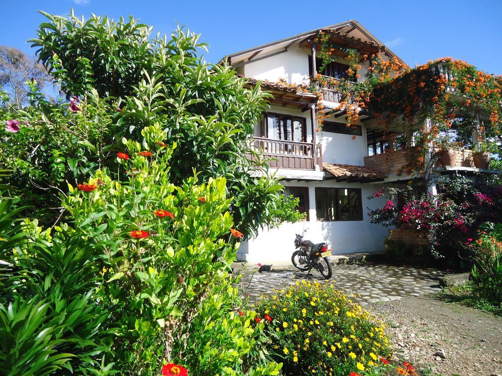 Hostal Pachamama San Agustín المظهر الخارجي الصورة