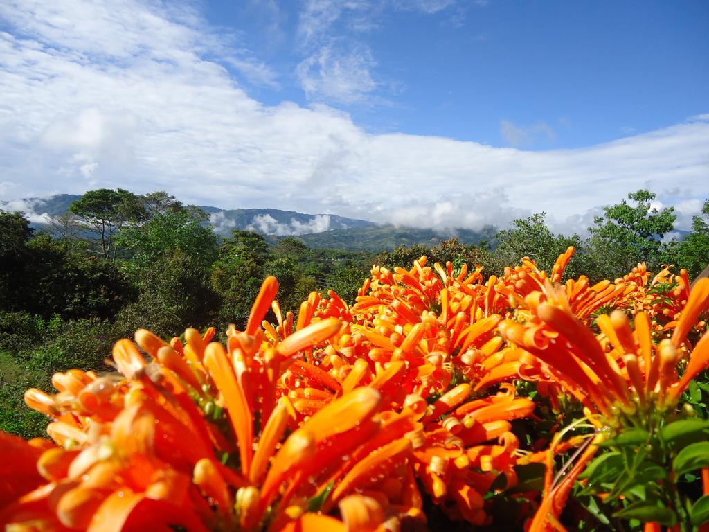 Hostal Pachamama San Agustín المظهر الخارجي الصورة